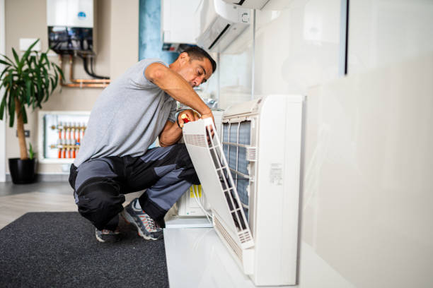 Best Air Vent Cleaning Services  in Wynne, AR