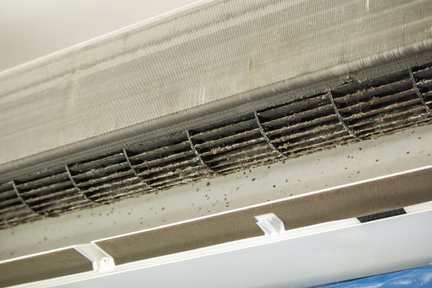 Best Ductwork Cleaning Services  in Wynne, AR